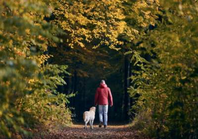 Pourquoi investir dans une maison de vacances dans les Ardennes ?